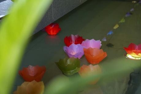 Đêm Hội Thả Đèn Hoa Đăng